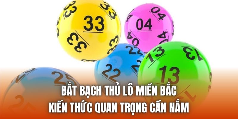 Bắt Bạch Thủ Lô Miền Bắc | Kiến Thức Quan Trọng Cần Nắm