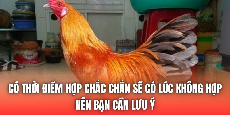Có thời điểm hợp chắc chắn sẽ có lúc không hợp nên bạn cần lưu ý